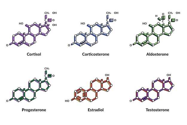 Explore the Dynamic Range of Promethazine Infused with Codeine